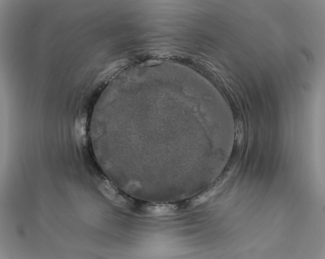 X0000112750670200909031528