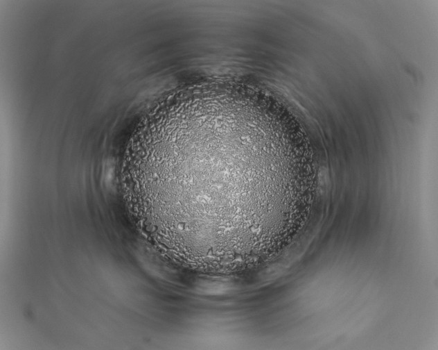 X0000112750671200909031528