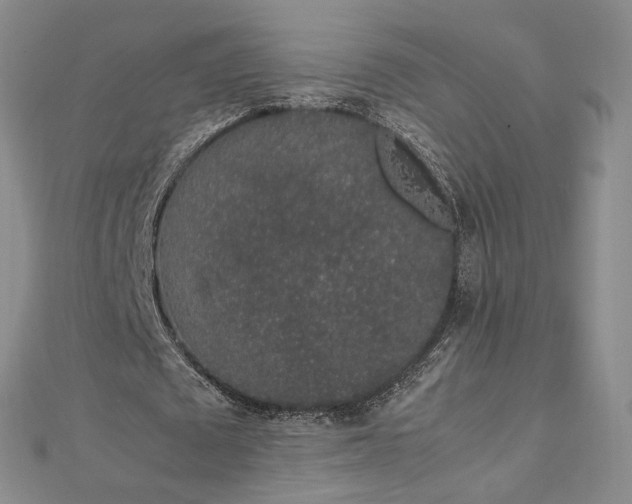 X0000112750673200909031527