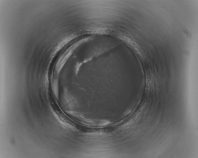 X0000112750674200909031527