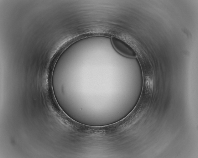 X0000112750676200909031527