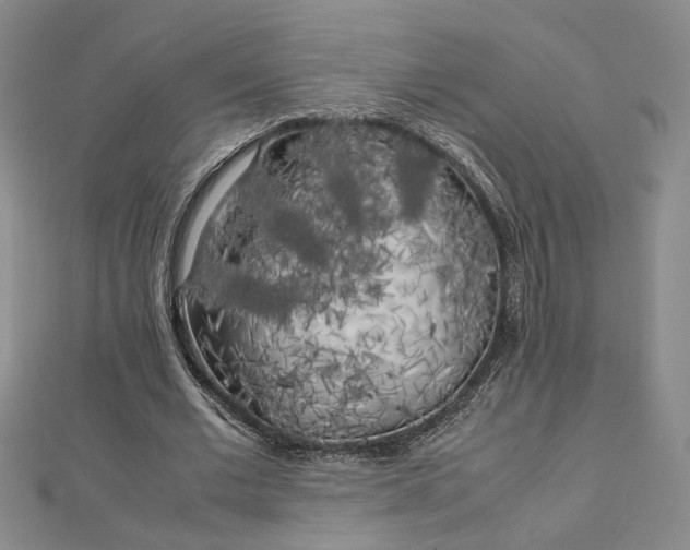 X0000112750677200909031527