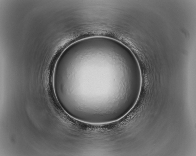 X0000112750679200909031527