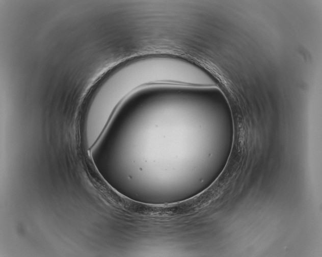 X0000112750680200909031527