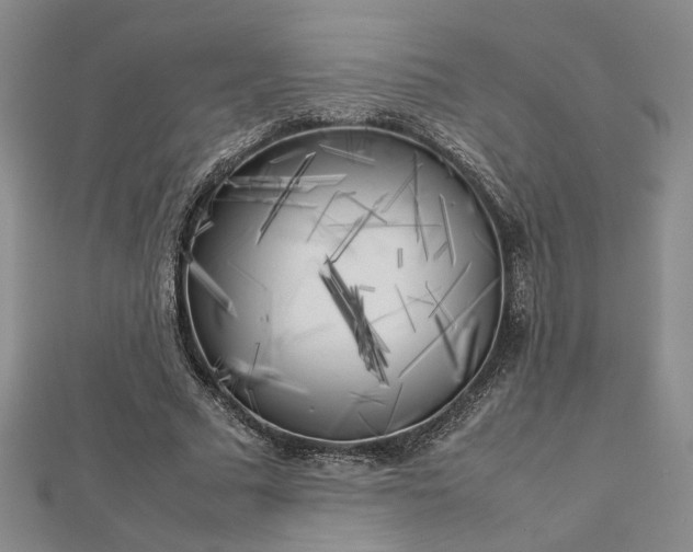 X0000112750681200909031527