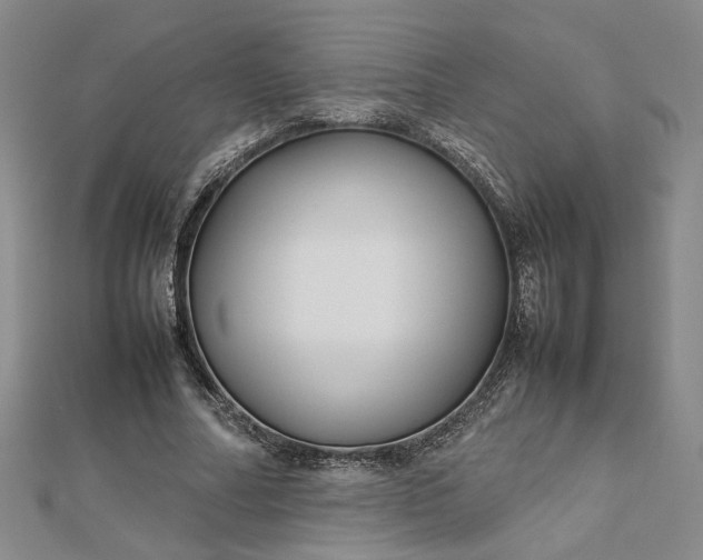 X0000112750682200909031527