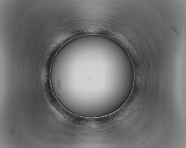 X0000112750683200909031527