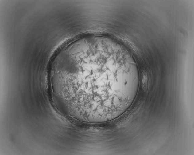 X0000112750684200909031527