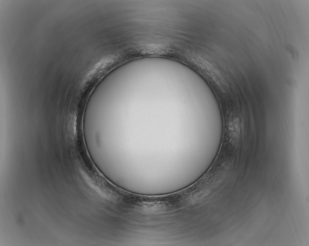 X0000112750686200909031527