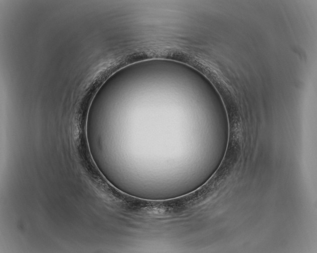 X0000112750687200909031527