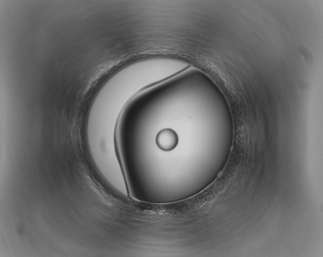 X0000112750688200909031527