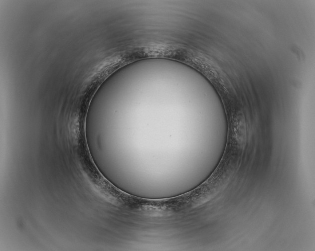 X0000112750690200909031527