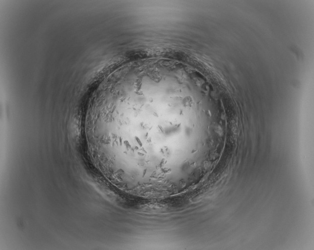 X0000112750691200909031527