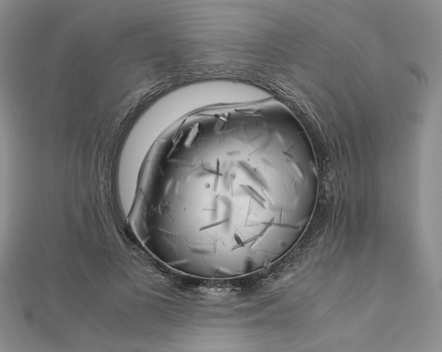 X0000112750693200909031527