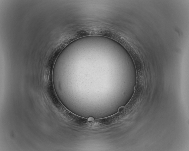 X0000112750695200909031527