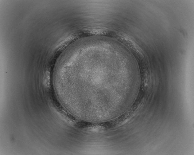 X0000112750696200909031527