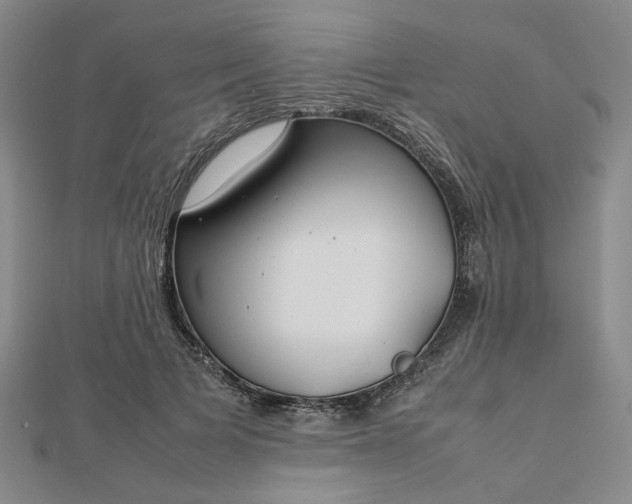 X0000112750697200909031527