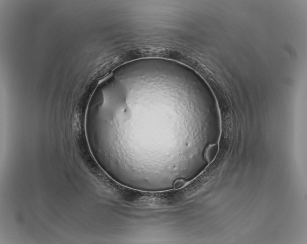 X0000112750699200909031527