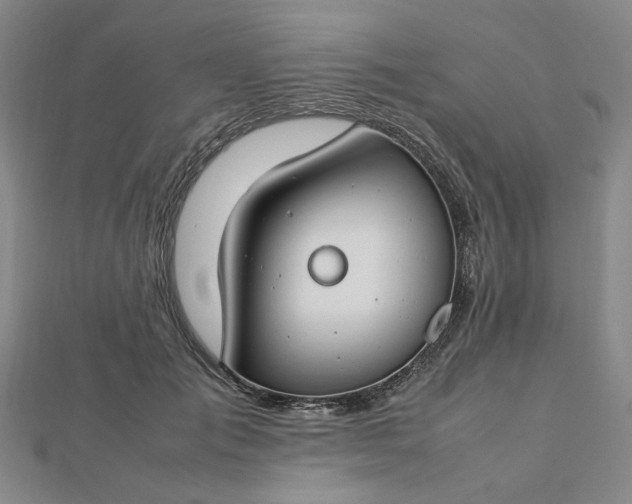 X0000112750701200909031527