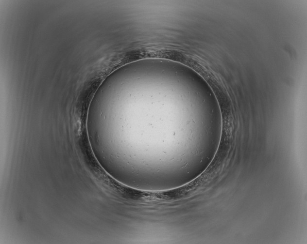 X0000112750703200909031527