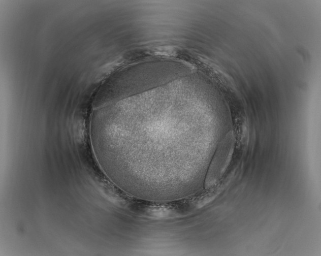 X0000112750704200909031527