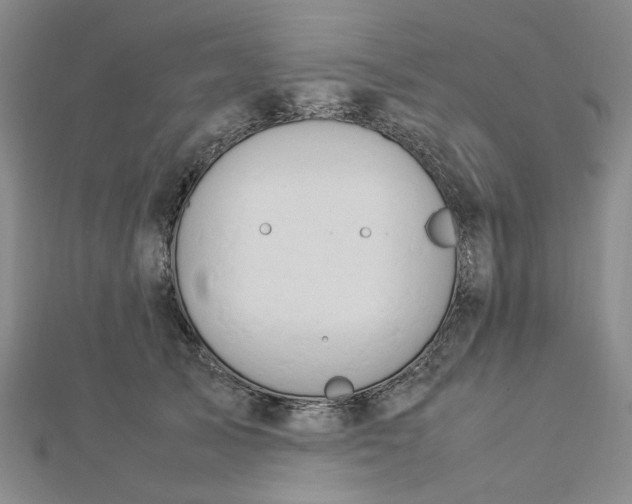 X0000112750705200909031527