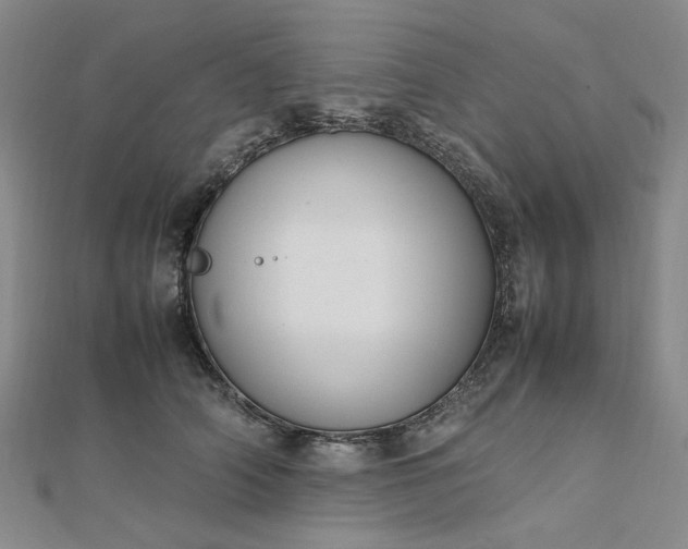 X0000112750706200909031527