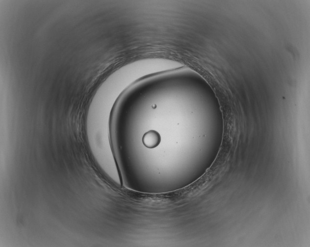 X0000112750708200909031527