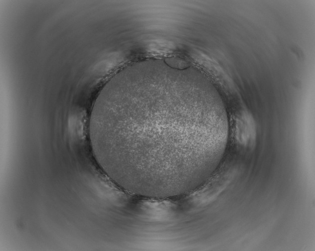 X0000112750712200909031526