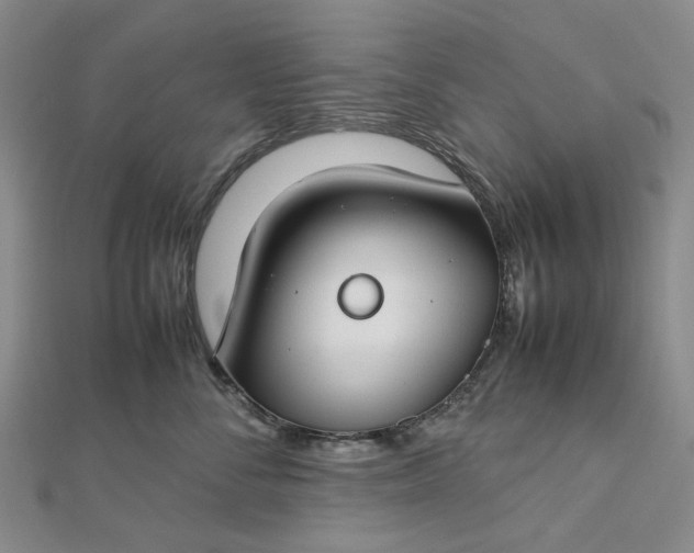 X0000112750716200909031526