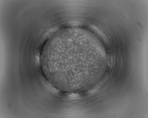 X0000112750718200909031526