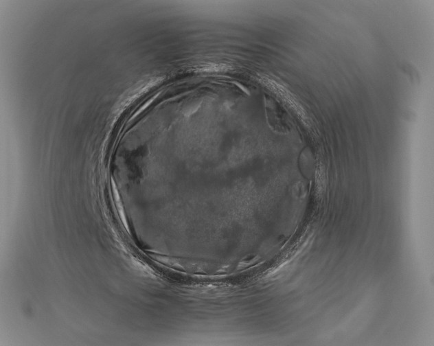 X0000112750721200909031526