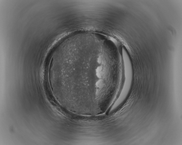 X0000112750722200909031526