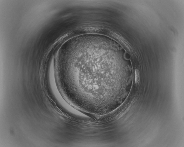 X0000112750723200909031526