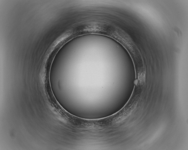 X0000112750724200909031526