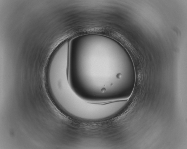 X0000112750725200909031526