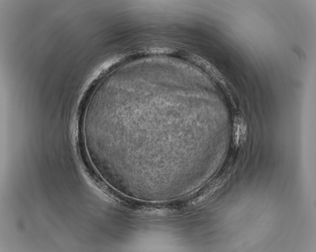 X0000112750726200909031526