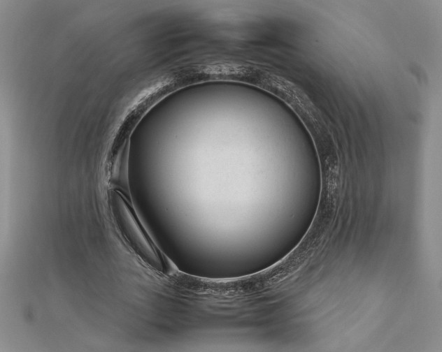 X0000112750727200909031526