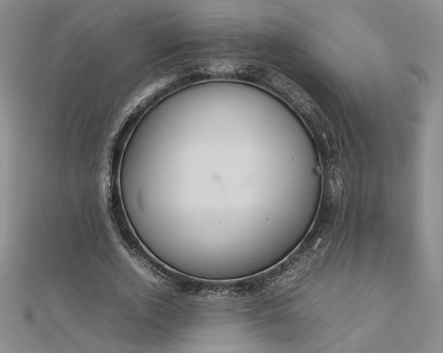 X0000112750728200909031526