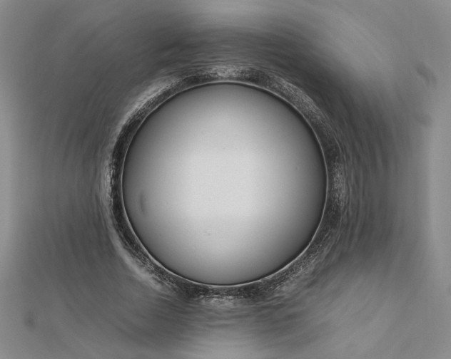 X0000112750730200909031526