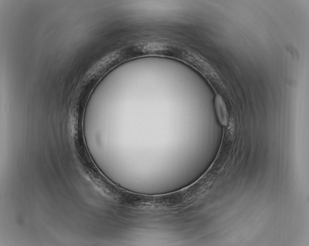 X0000112750732200909031526