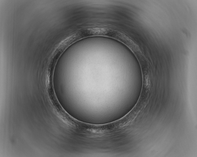 X0000112750733200909031526