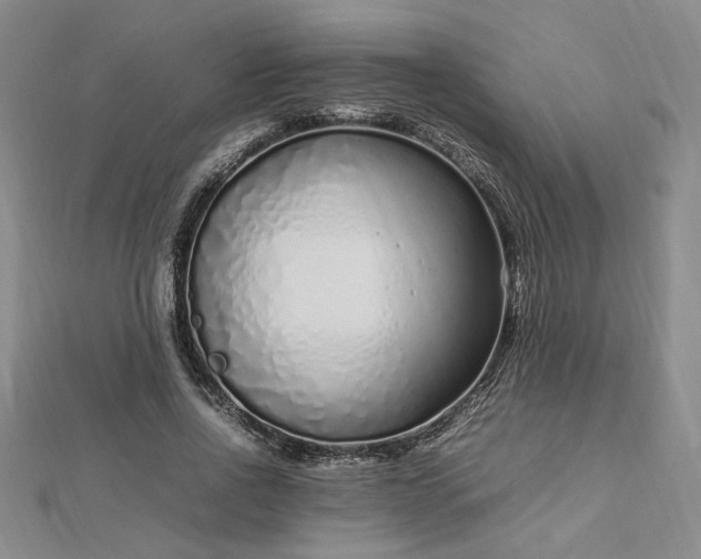 X0000112750734200909031526