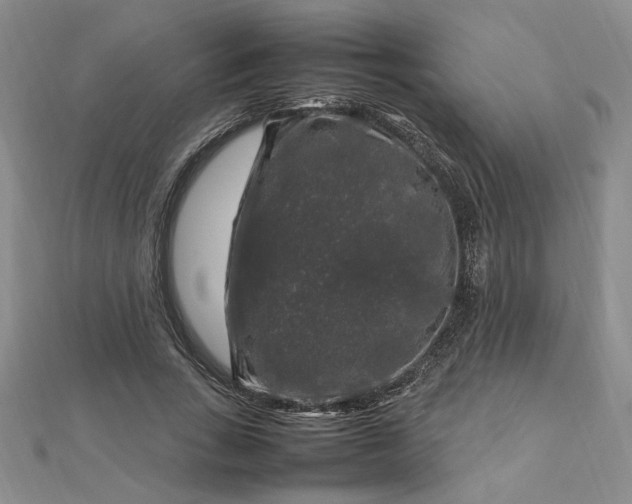 X0000112750735200909031526