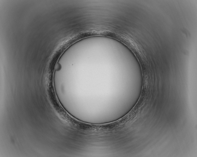 X0000112750736200909031526