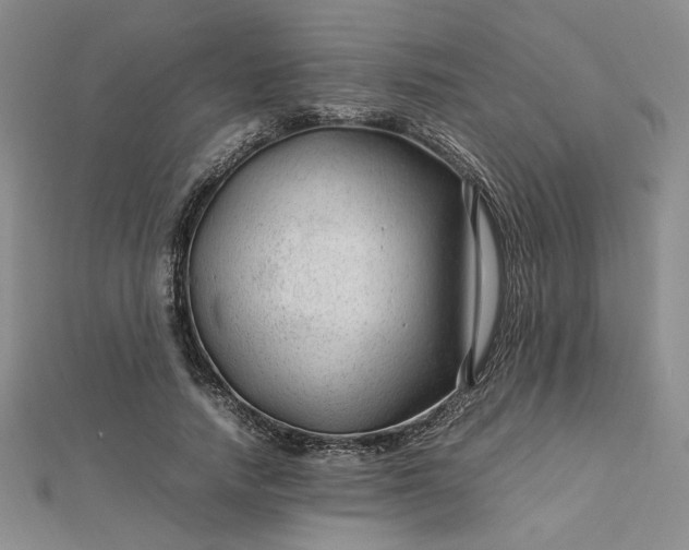 X0000112750738200909031526