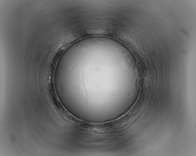 X0000112750739200909031526