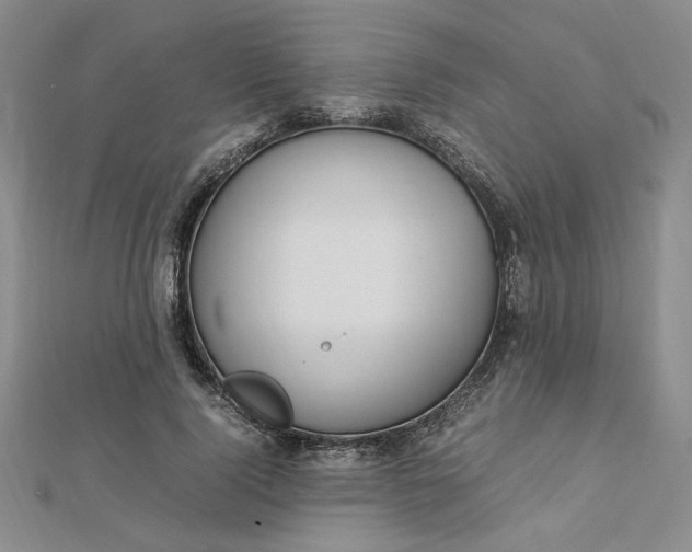 X0000112750740200909031526