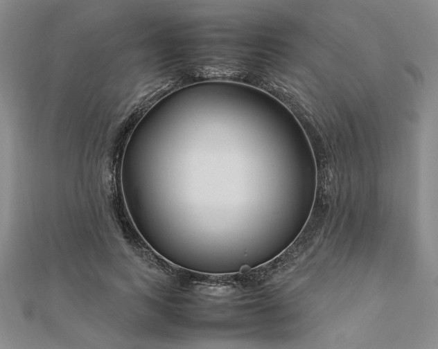 X0000112750743200909031526