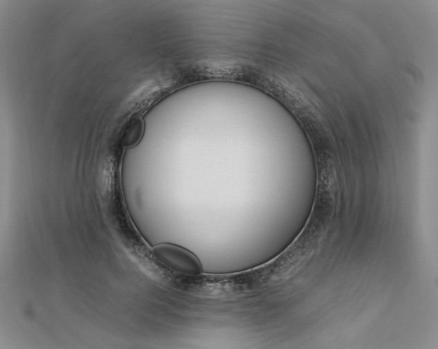 X0000112750744200909031526